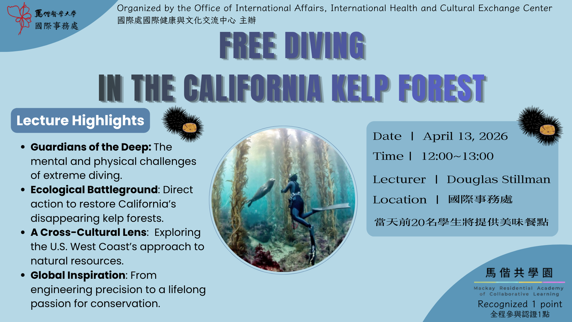 Free diving in the California kelp forest